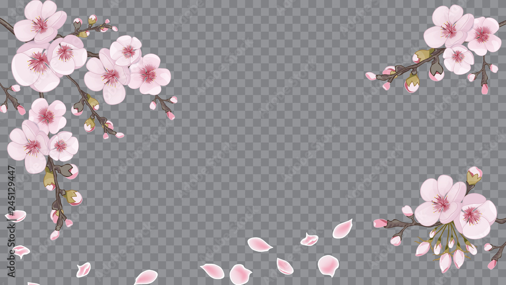 Light frame horizontal of sakura flowers. Magenta on transparent background. Handmade background in the Japanese style. Theme design fabric, invitations, packaging, cards. Light frame horizontal of sakura flowers. Magenta on transparent background. Handmade background in the Japanese style. Theme design fabric, invitations, packaging, cards.