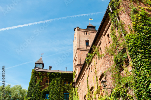 Architecture and nature. Vine growing on stone wall in summer. Old house exterior with creeper or climber. House building covered with ivy. Green ivy plant climbing brick wall. Old fashioned elegance photo