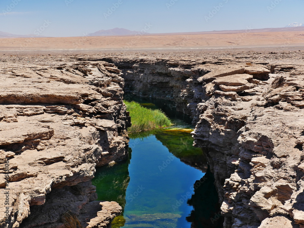Desert of Atacama, Chile.