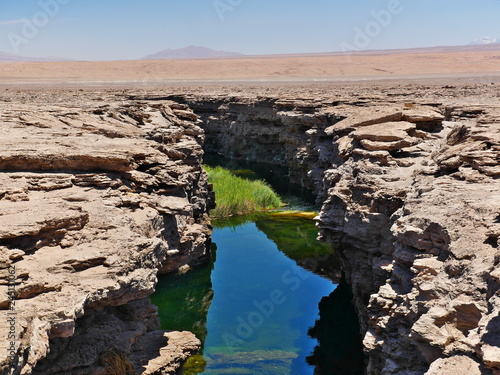 Obraz na płótnie Desert of Atacama, Chile. w salonie