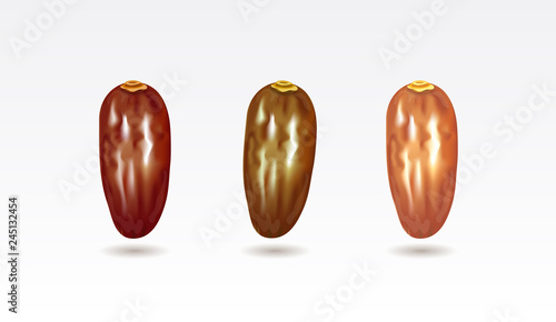 Date Fruits set isolated on white background