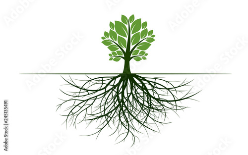 Spring Tree with Leaves. Vector Illustration.