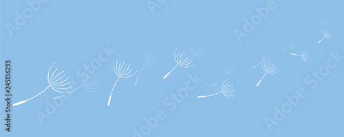 dandelion seeds flying in the wind on blue background vector illustration EPS10