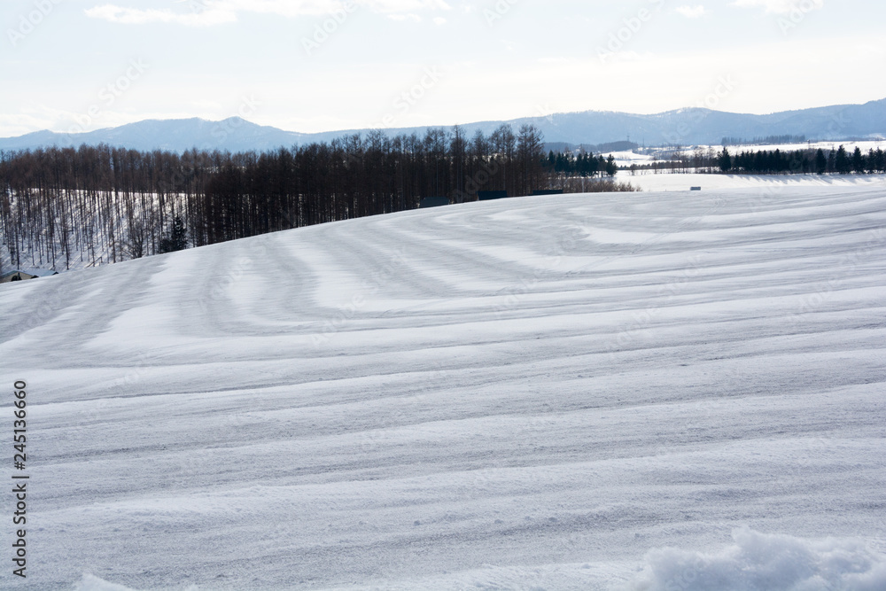 融雪剤が撒かれた雪の畑
