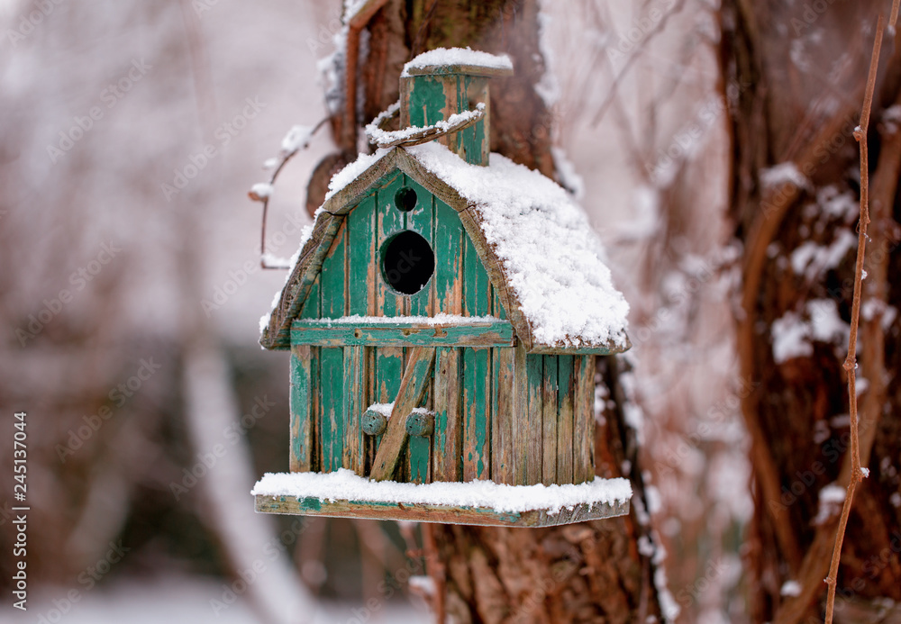 Fototapeta premium drewniana budka dla ptaków w ogrodzie zimowym