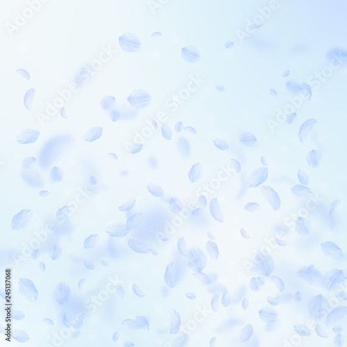 Light blue flower petals falling down. Likable rom