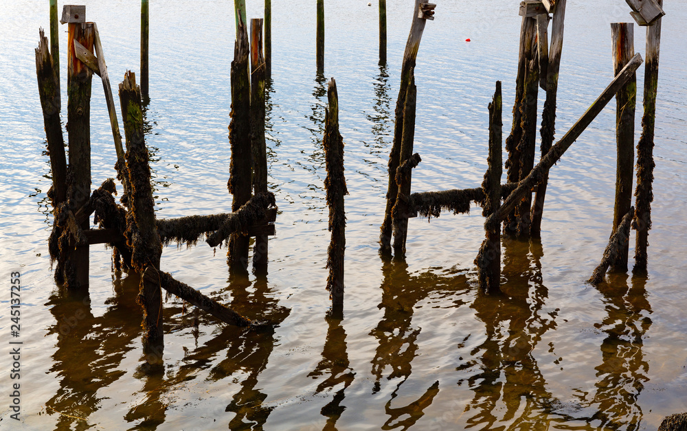Old wood pilings ruins at Wiscasset Maine