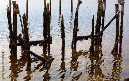 Old wood pilings ruins at Wiscasset Maine © Bert Folsom
