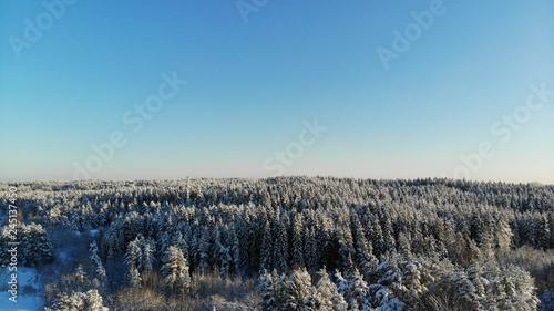 clear frosty day in the forest. trees covered with snow. bird's eye view. Russia St. Petersburg region