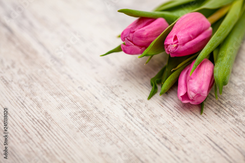 Fototapeta Naklejka Na Ścianę i Meble -  Pink tulips on light background