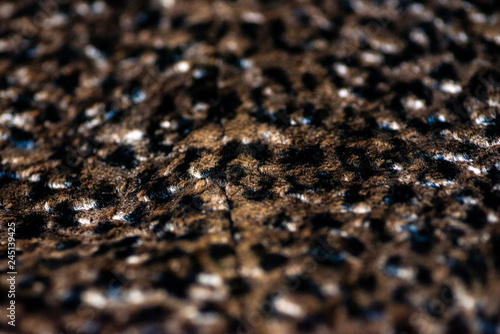 beautiful abstract print wild leopard fur pattern