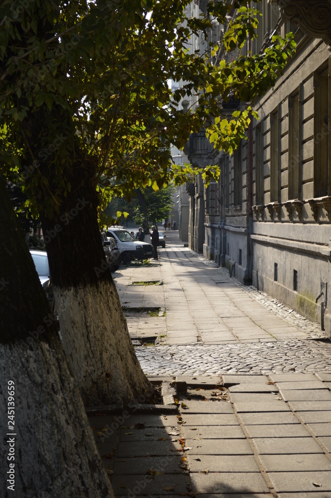 Obraz premium street in the city