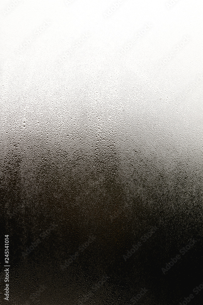 Condensation on a window Condensation on a window