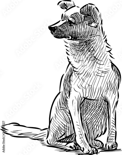 A hand drawing of a sitting dog