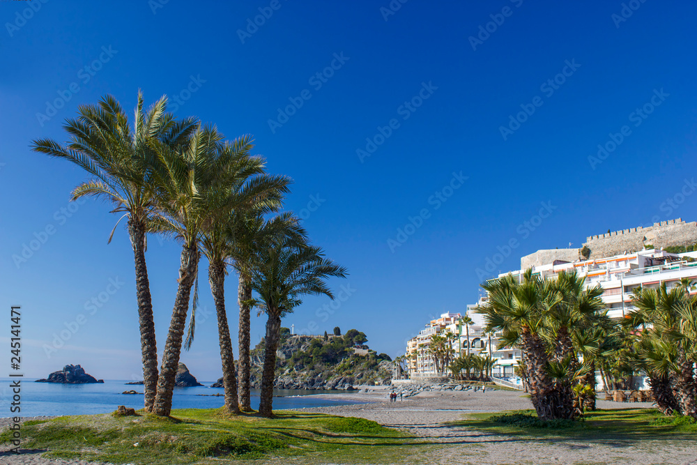 Palm trees on a beach in Almunecar, Andalusia region, Costa del Sol, Spain