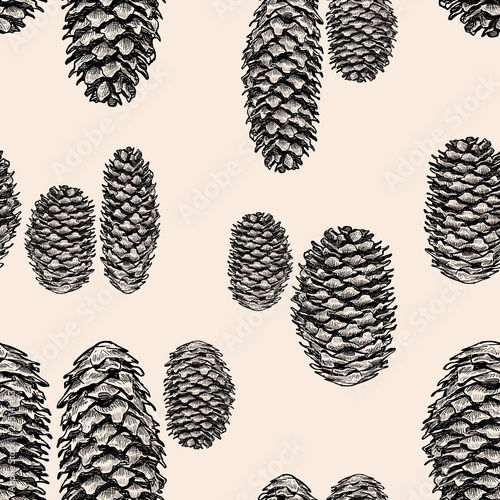 Seamless pattern of sketches of fir cones