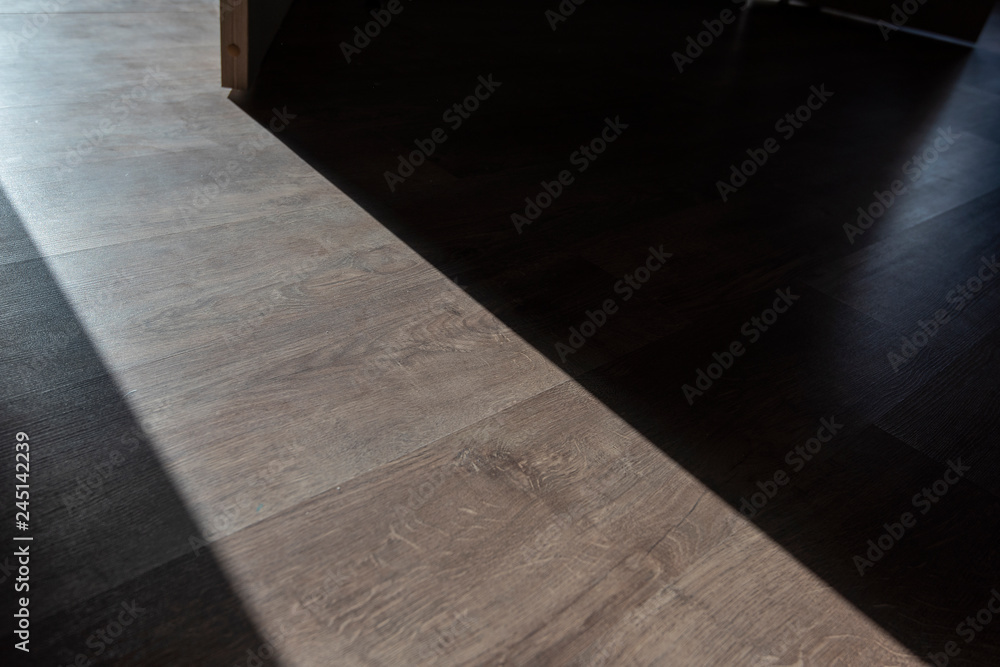 Obraz premium Shadows and Light by open Door in a Room
