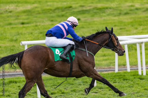 Race horse and jockey galloping towards the finish line