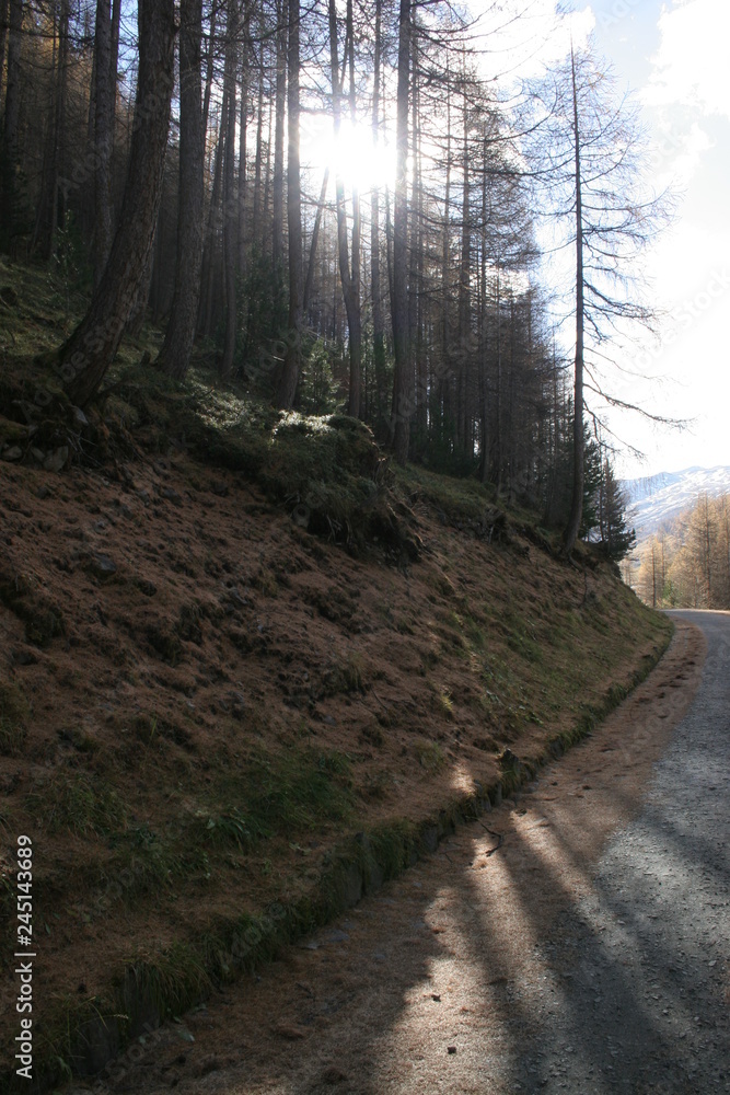 Obraz premium montagna