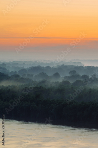 Mystical view on riverbank of large island with forest under haze at early morning. Mist among layers from tree silhouettes under warm predawn sky. Morning atmospheric landscape of majestic nature. © Daniil