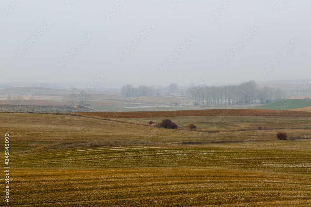Obraz premium Paisaje agrario nevando. Comarca de Los Oteros.