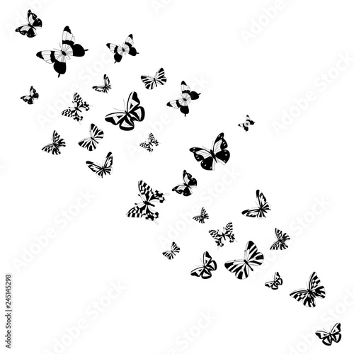 vector, isolated, background, with a silhouette of a butterfly flying