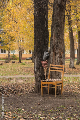 bench in park in autumn