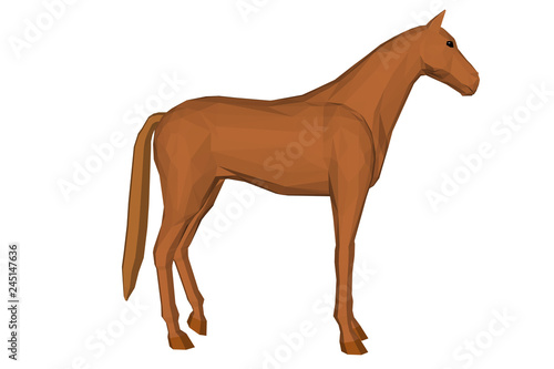 animal  horse