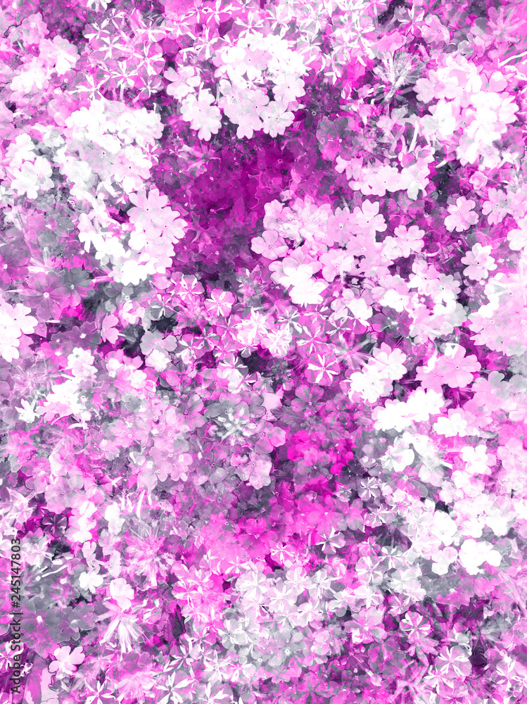 Floral daisy print in pink color