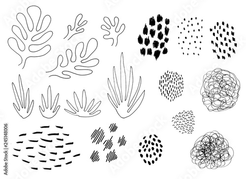 Handdrawn graphic abstract elements, modern style trendy elements isolated on white background. Artistic abstract design set with plants, brushstrokes, spots
