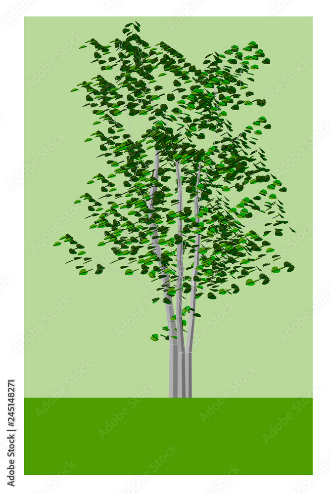 Obraz premium nature green leaf