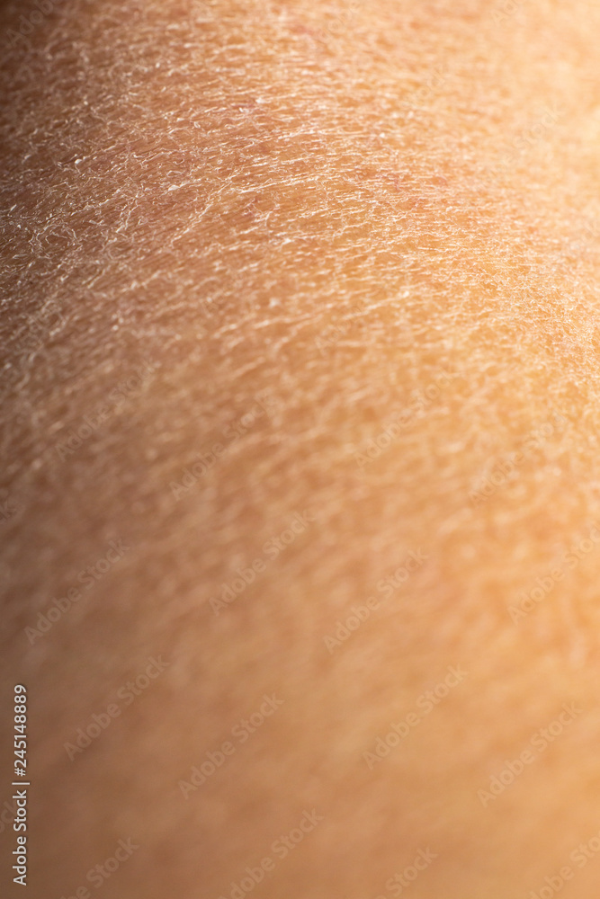 Fototapeta premium Woman's dry skin on leg, Close up & Macro shot, Asian skin tone, Abstract background