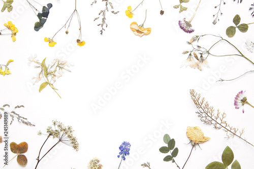 Various dried flowers and herbs on white. Flat lay.
