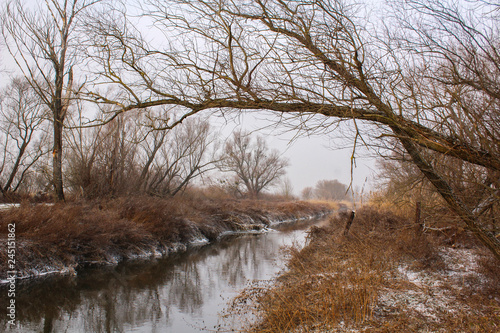  WInter landscape - a brook with trees and other vegetation and rest of the melted snow