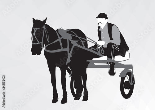 Sporting a horse-drawn cart. Silhouette of an athlete on the cart driving a horse.