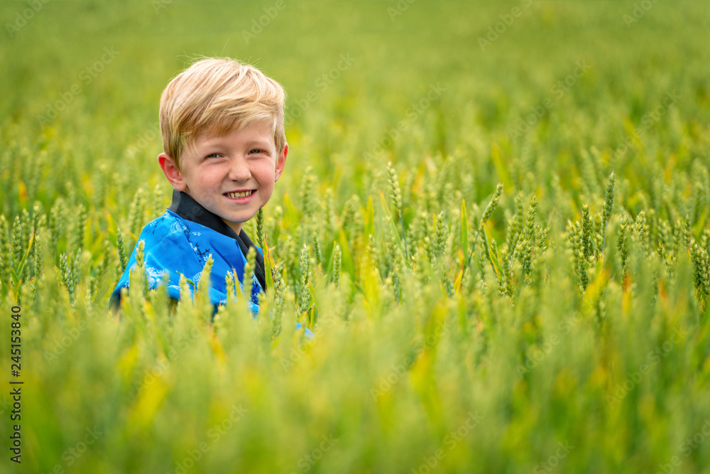 A small, blond boy in the field of cereals. A small, blond boy in the field of cereals.