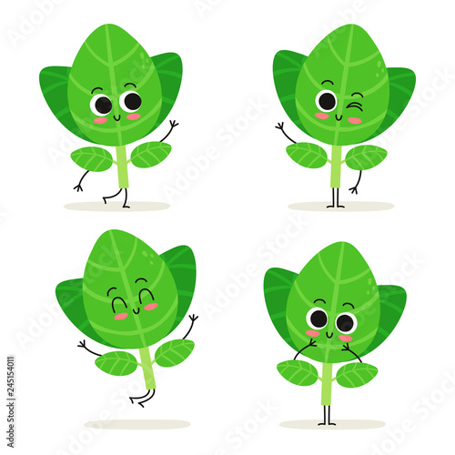 Oregano. Cute herb vector character set isolated on white