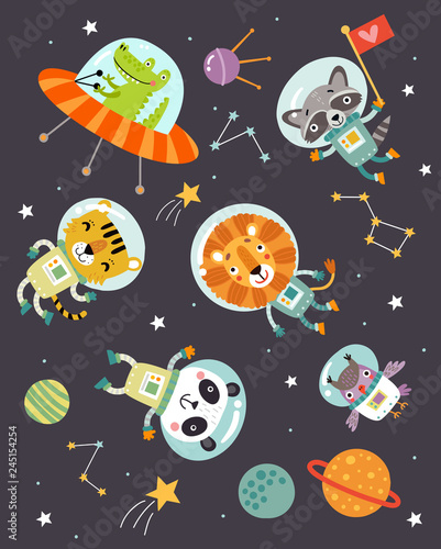 Animals in space