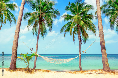Empty hammock between palms. Empty paradise beach, blue sea waves in island. Beautiful tropical island. Holiday and vacation concept.