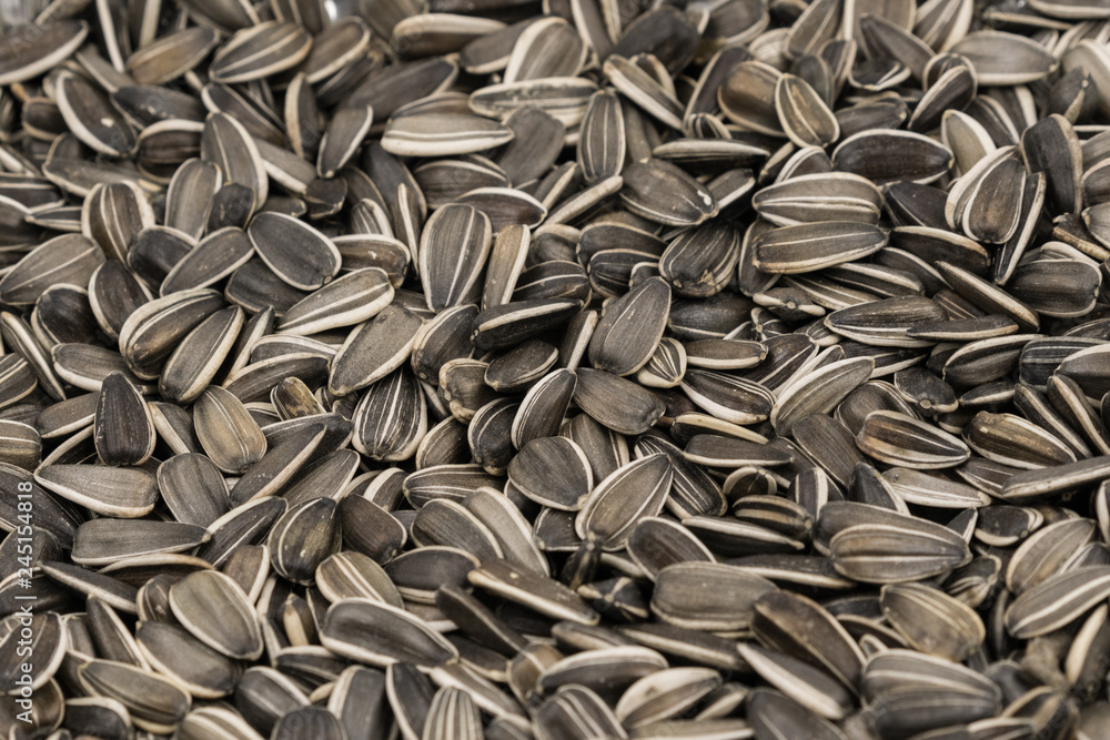 Striped sunflower seeds background texture Striped sunflower seeds background texture