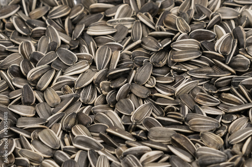 Striped sunflower seeds background texture