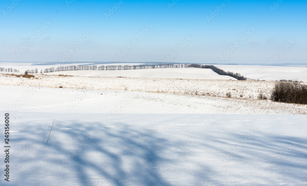 Outskirts of the village, winter landscape , fields in the snow and trees without snow