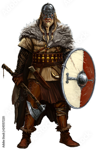 Fotografia, Obraz Viking with ax and shield on white