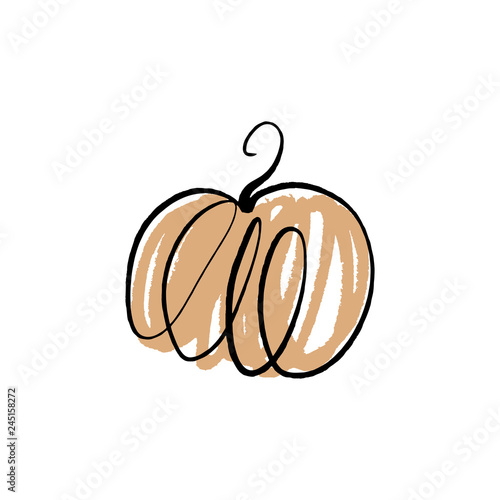 Vector single pumpkin line sketch, hand drawn illustration