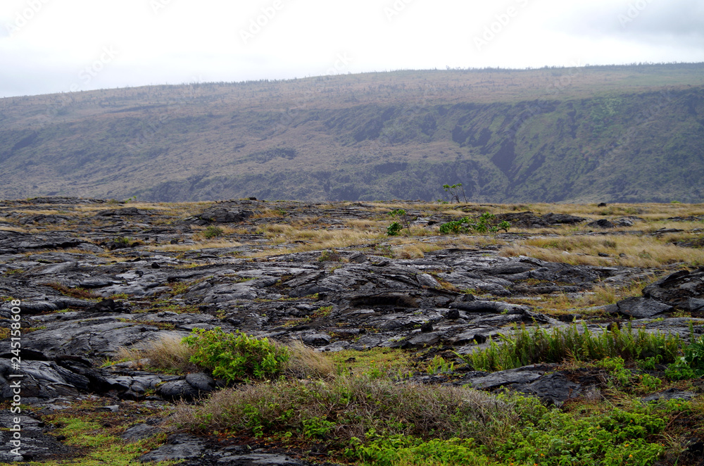 Landschaft im Volcano National Park auf Big Island, Hawaii Landschaft im Volcano National Park auf Big Island, Hawaii