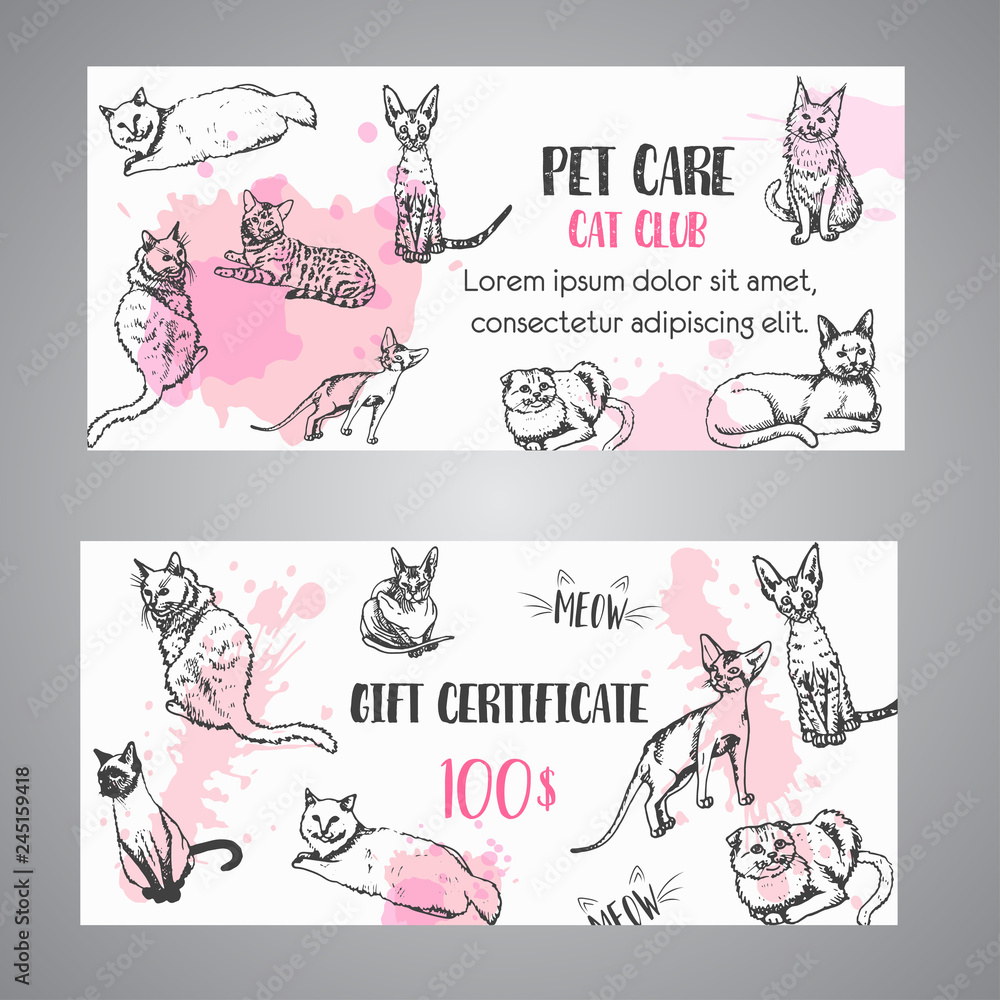 Fototapeta premium Cat breeds gift voucher. Follow my feet text Vector illustration Cute kitten sketch certificate template