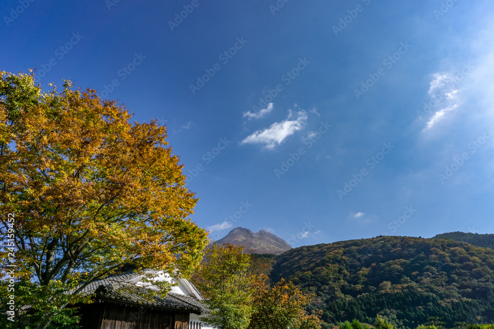 The view of Autumn Trees and Mount Yufu in Background with blue sky and clouds. onsen town, Yufuin, Oita, Kyushu, Japan