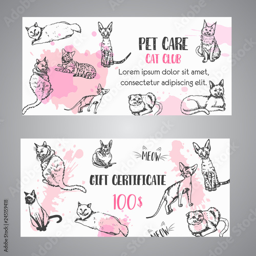Cat breeds gift voucher. Follow my feet text Vector illustration Cute kitten sketch certificate template