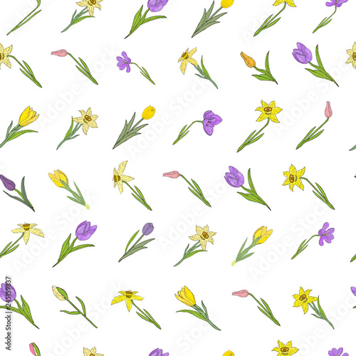 Seamless pattern with different spring flowers. Isolated elements on a white background.