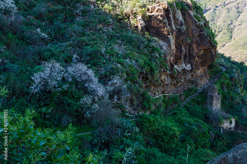 Canary islands gran canaria winter day